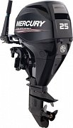 MercuryFour Stroke  EFI 25